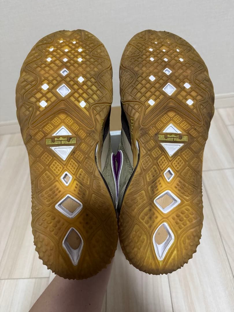 atmos × LeBron 18 Low \"Viotech\" 28.5