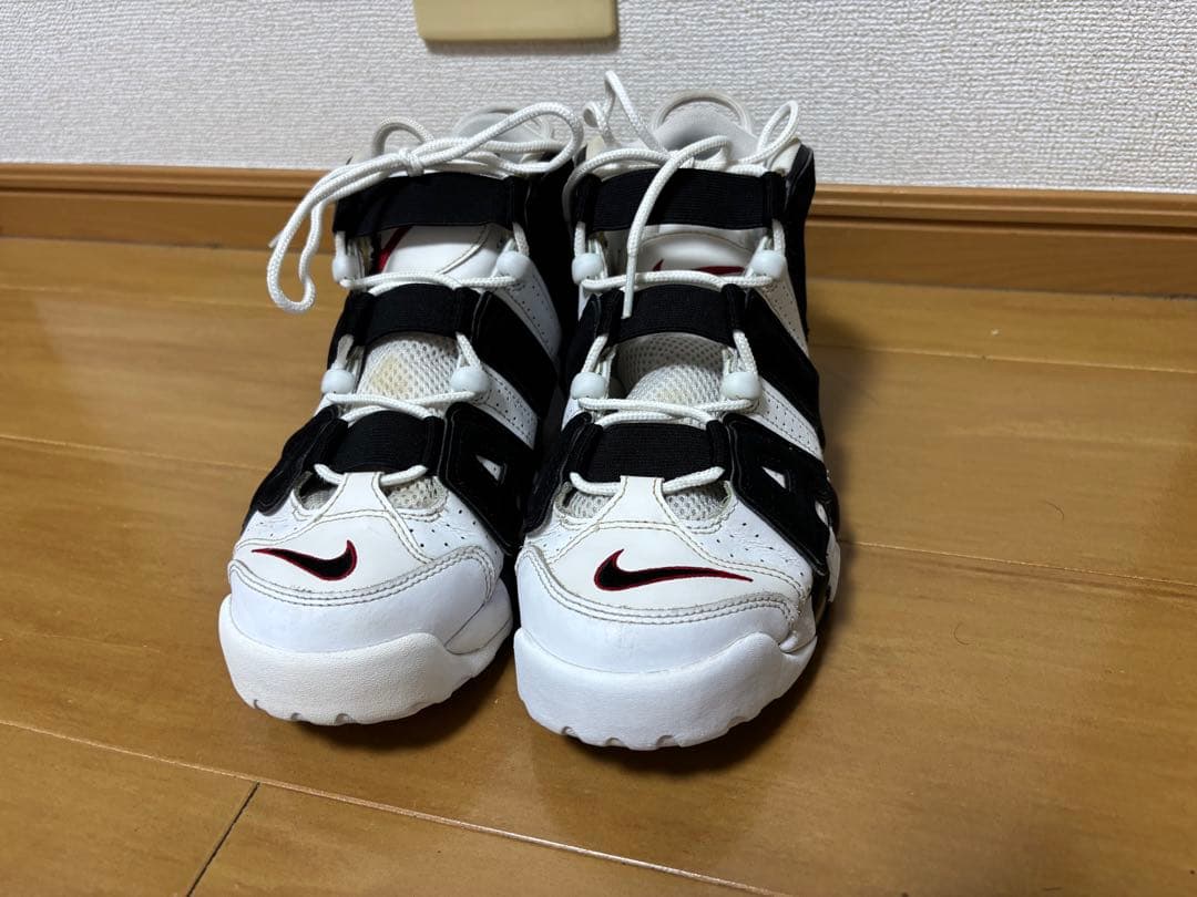 モアテン　ゼブラ26.5cm
