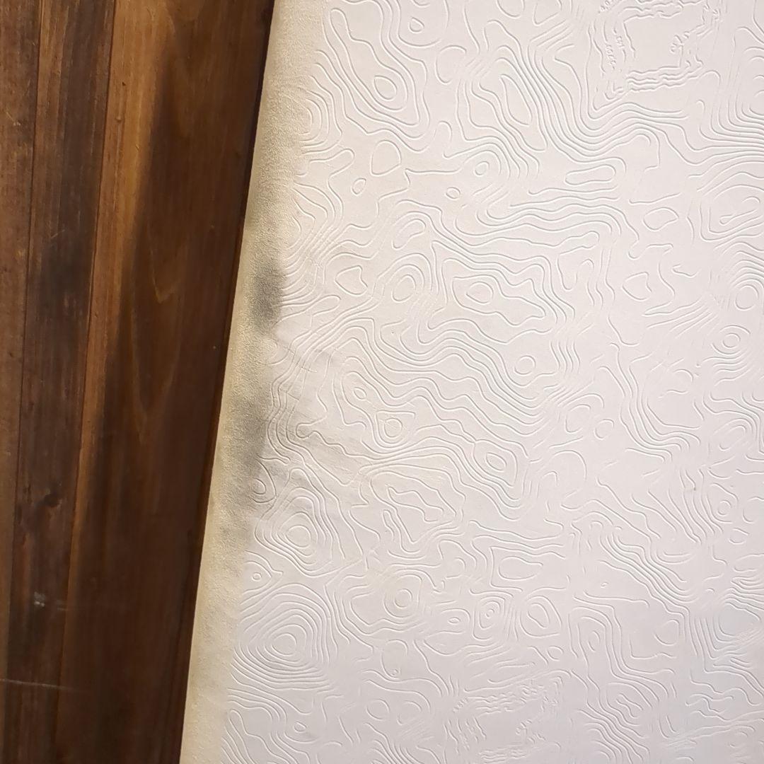 PYZEL パイゼル JJF SOFT TOP LOG ログ 7'0 ジャンク