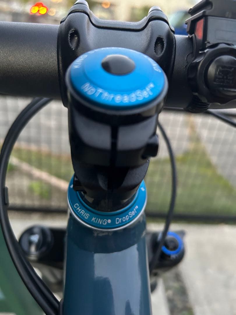 ② SANTA CRUZ chameleon カメレオン　サンタクルーズ　極美品