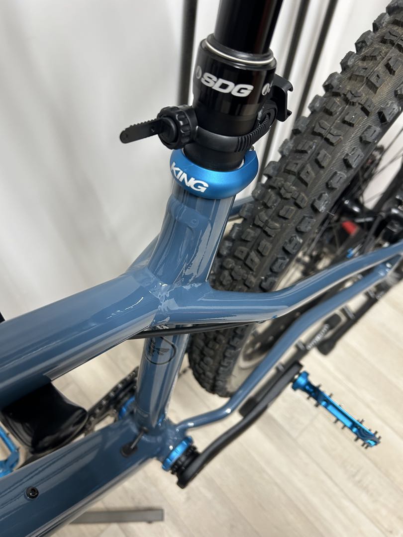 ② SANTA CRUZ chameleon カメレオン　サンタクルーズ　極美品