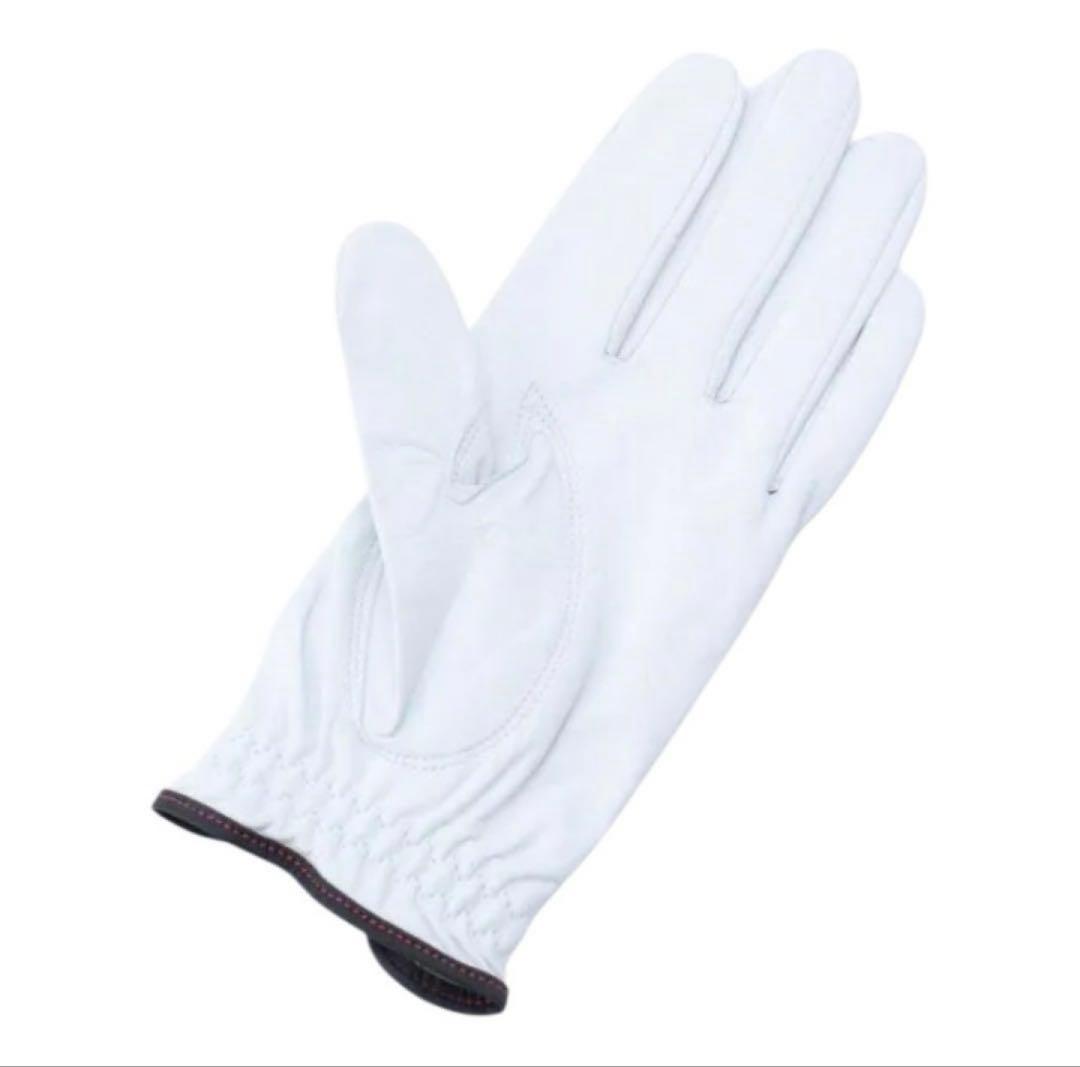 【新品】BRIEFING GOLF プレミアムレザーグローブ 19 左右セット