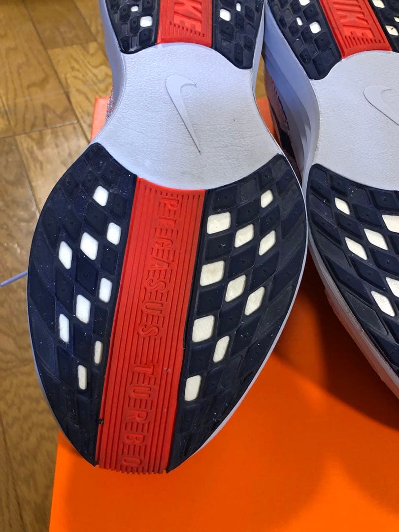 Nike　ナイキ　ペガサス プラス　27.5cm　メンズ