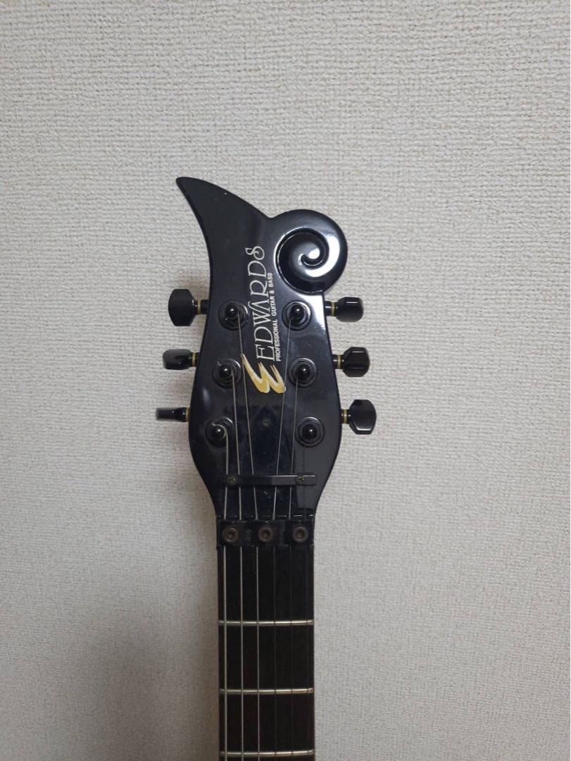 EDWARDS/ES-110PRⅢ　SUGIZOモデル