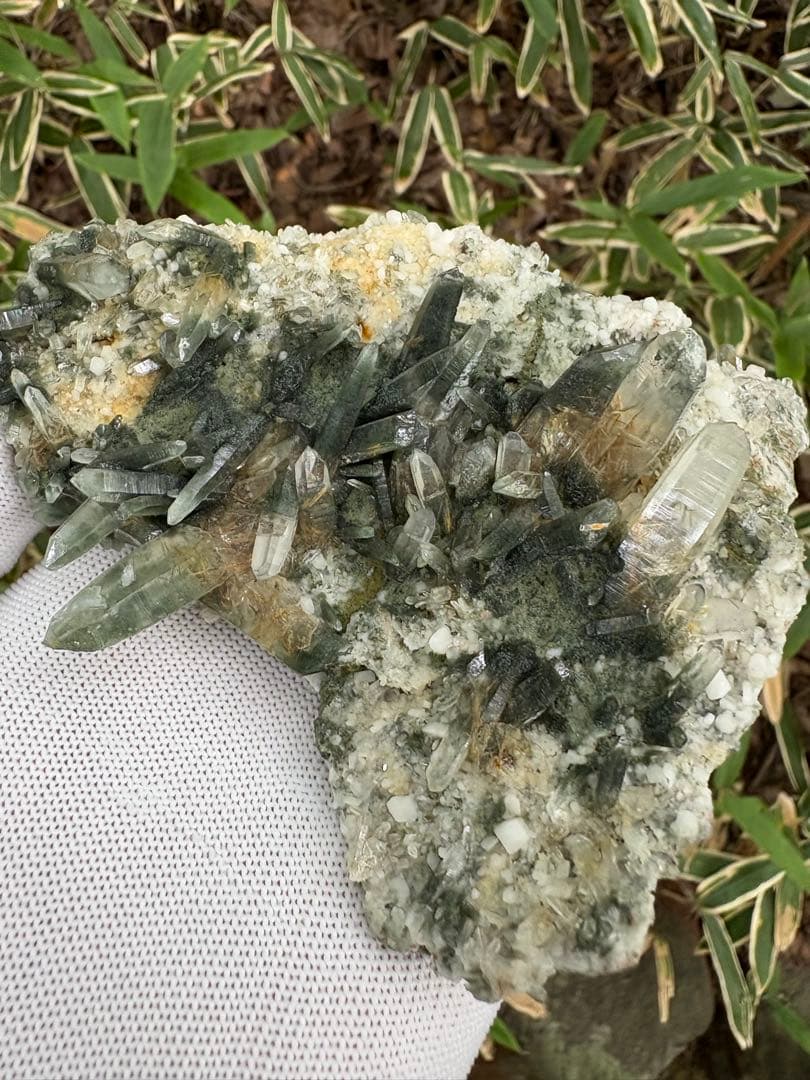 【匿名発送】ガネッシュヒマール産 クローライト、アンフィボール内包水晶