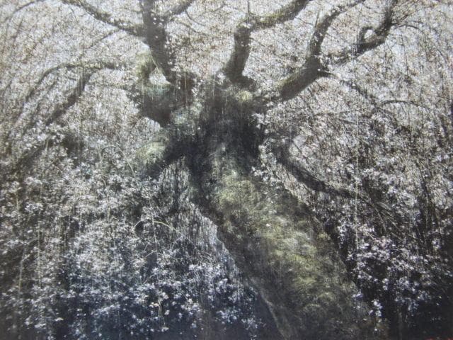堀 研、【神原枝垂桜】、希少画集画より、状態良好、新品高級額装付