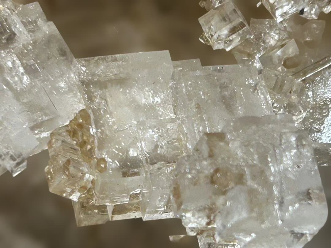 岩塩/Halite 岩塩結晶クラスター 598g