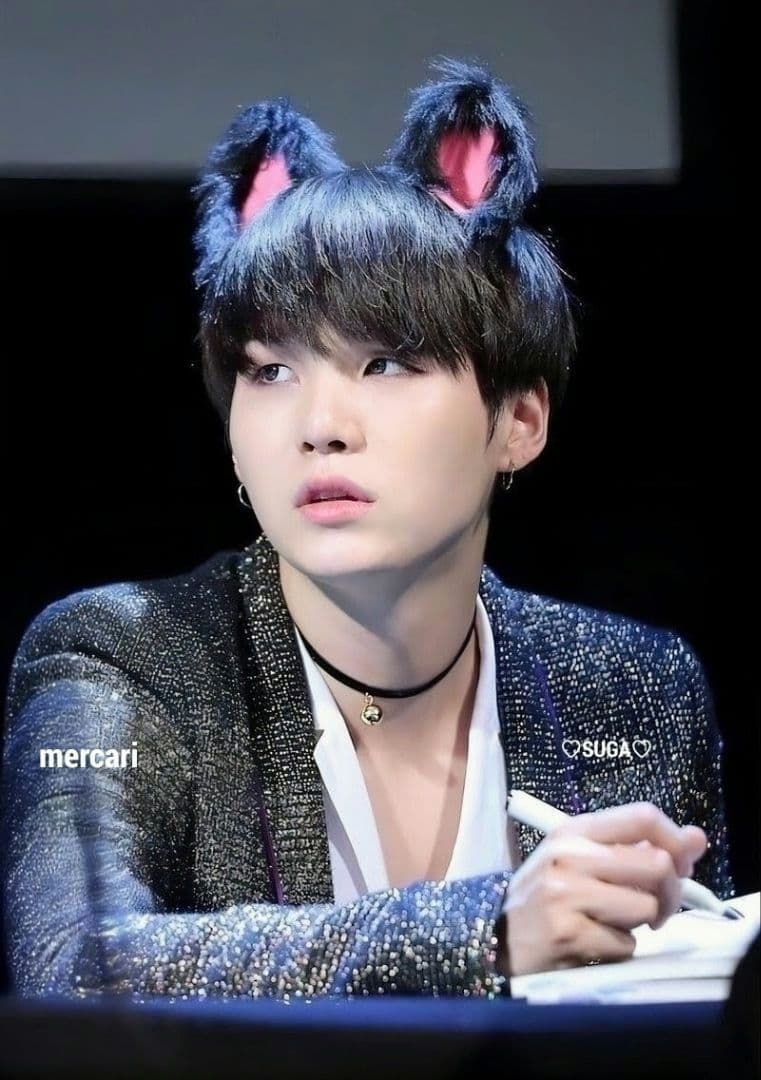BTS SUGA ユンギ AgustD ぬいぐるみ 10cm テテ ジン ジミン