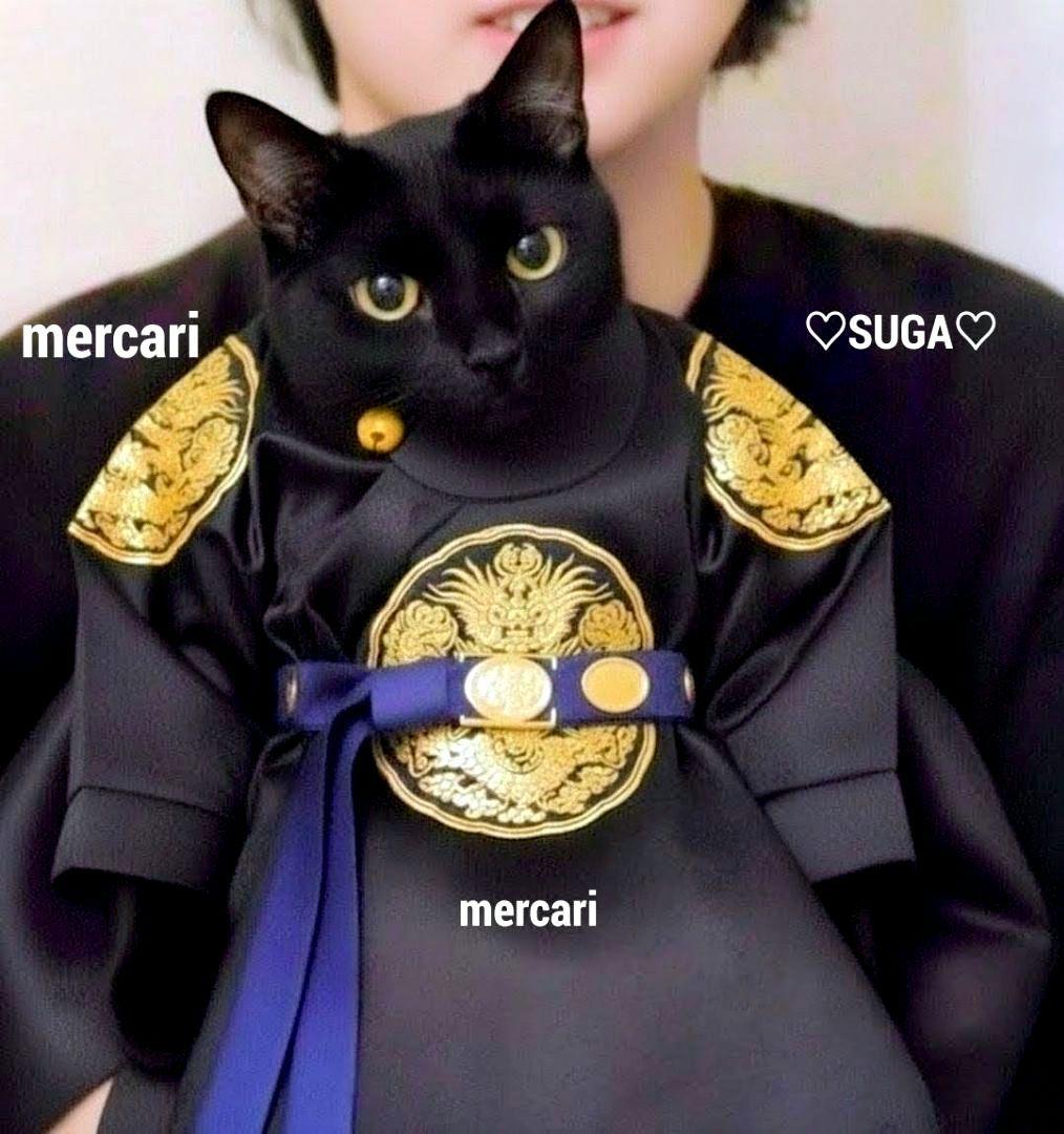 BTS SUGA ユンギ AgustD ぬいぐるみ 10cm テテ ジン ジミン