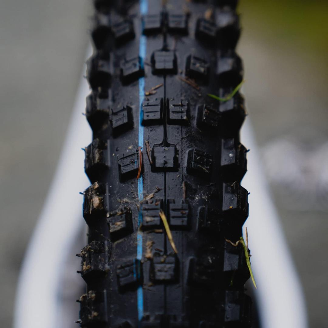 新品　SCHWALBE ウィキッドウィル 27.5x2.25 MTBタイヤ