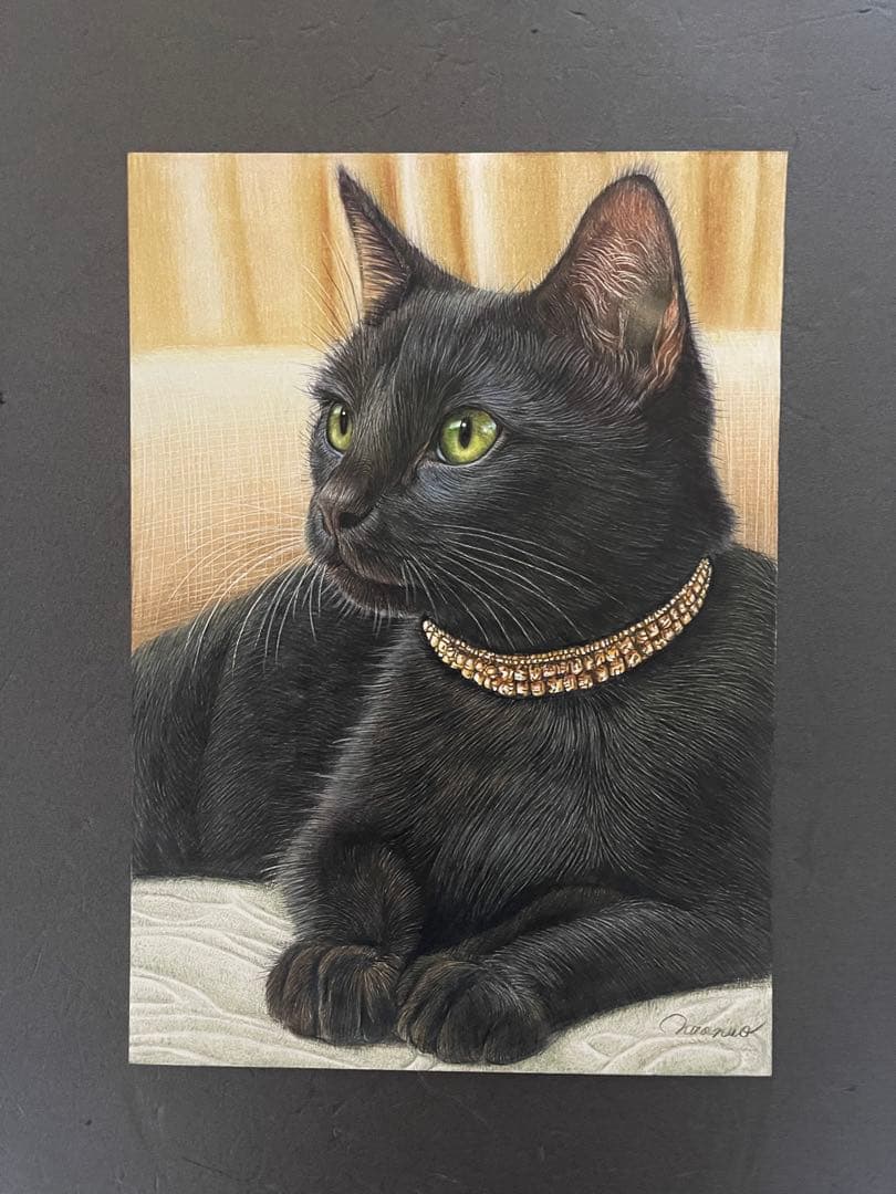 色鉛筆画.A4.黒猫.52