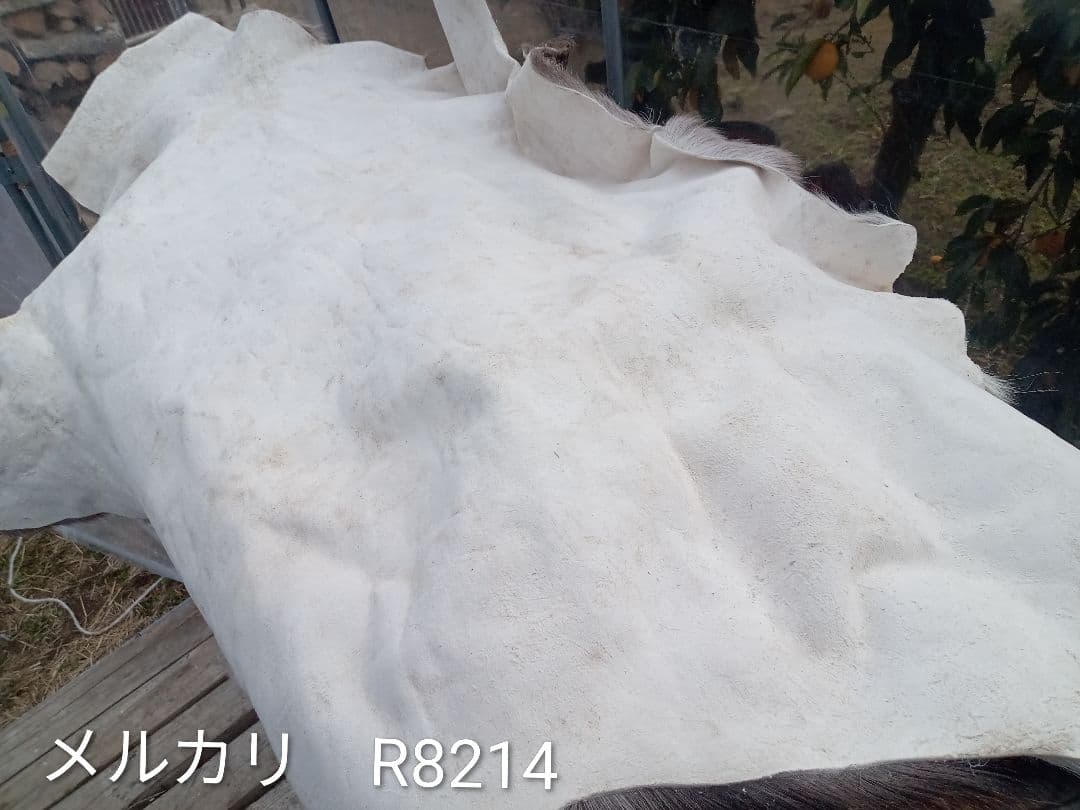 天然日本鹿　毛皮　ラグ　オマケ付き