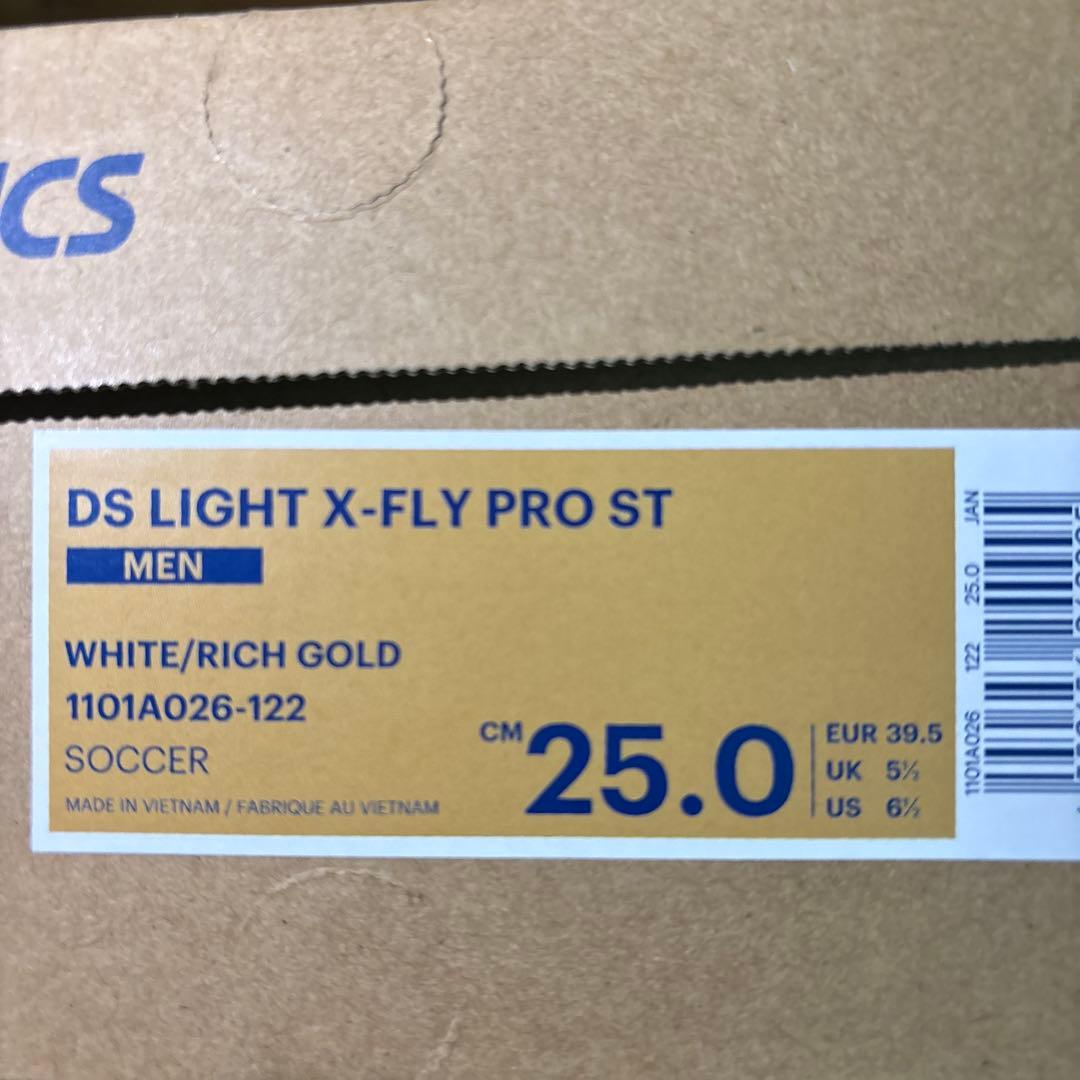 シューズ asics DS LIGHT X-FLY PRO ST
