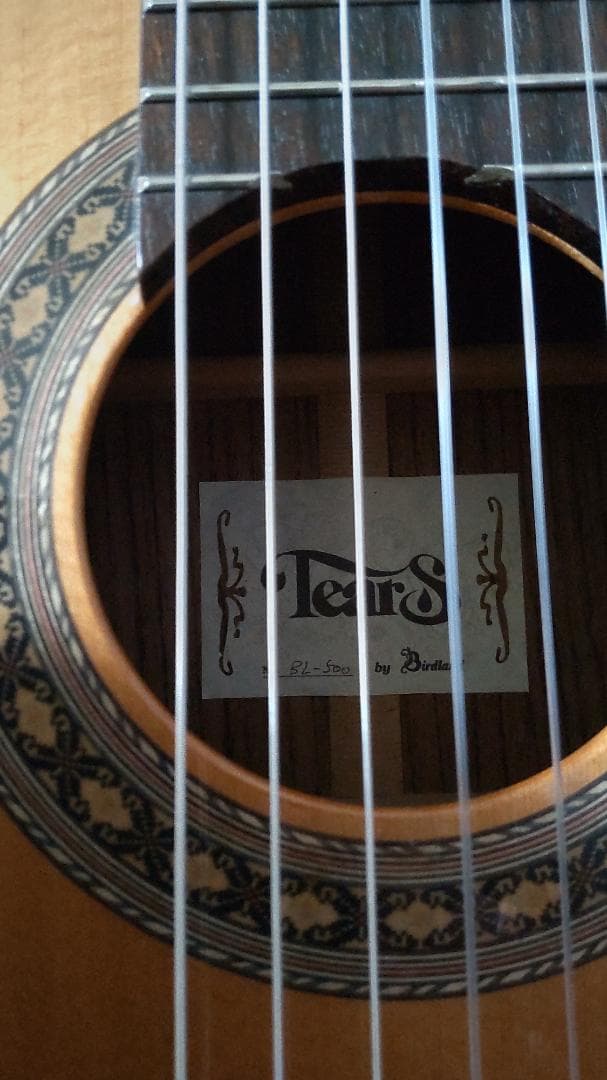 Tears (by Birdland) BL-500　全体の調整と弦の全交換