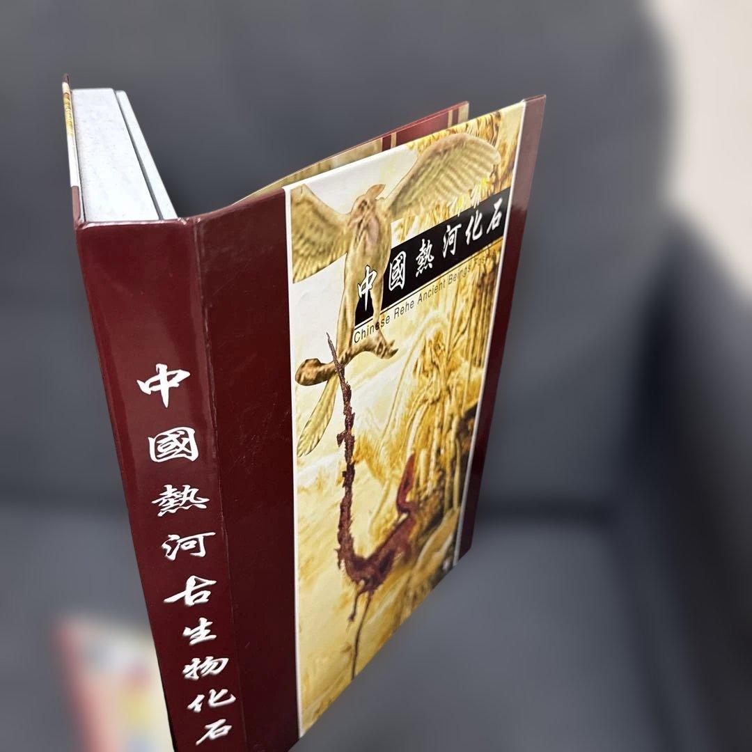 化石　フィッシュ