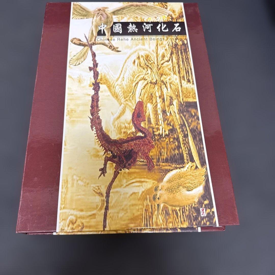 化石　フィッシュ