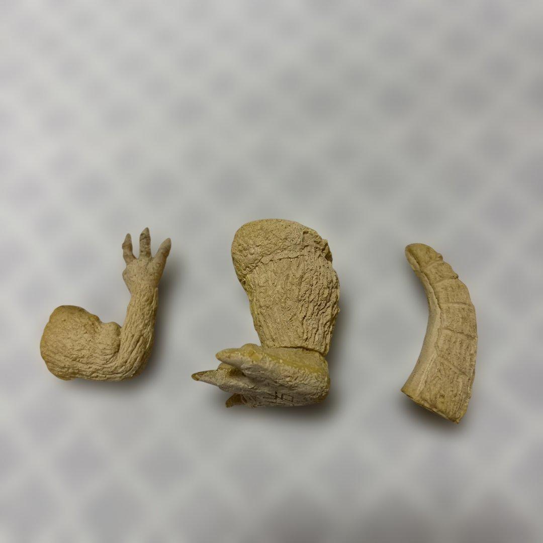 特撮 KAIYODO MONSTAR PLA KIT SERIES GODZILLA