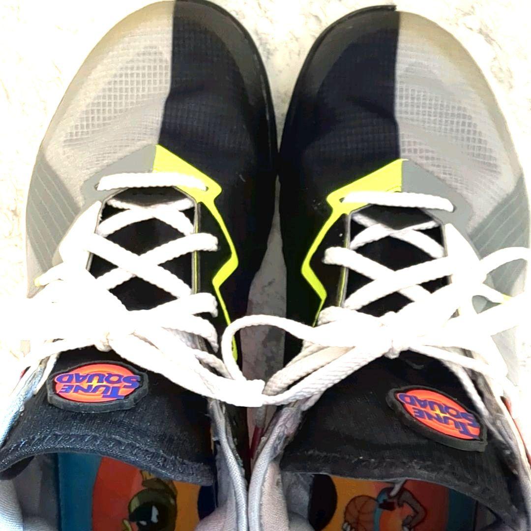 限定 Nike LeBron 18 Low Bugs x Marvin 27cm