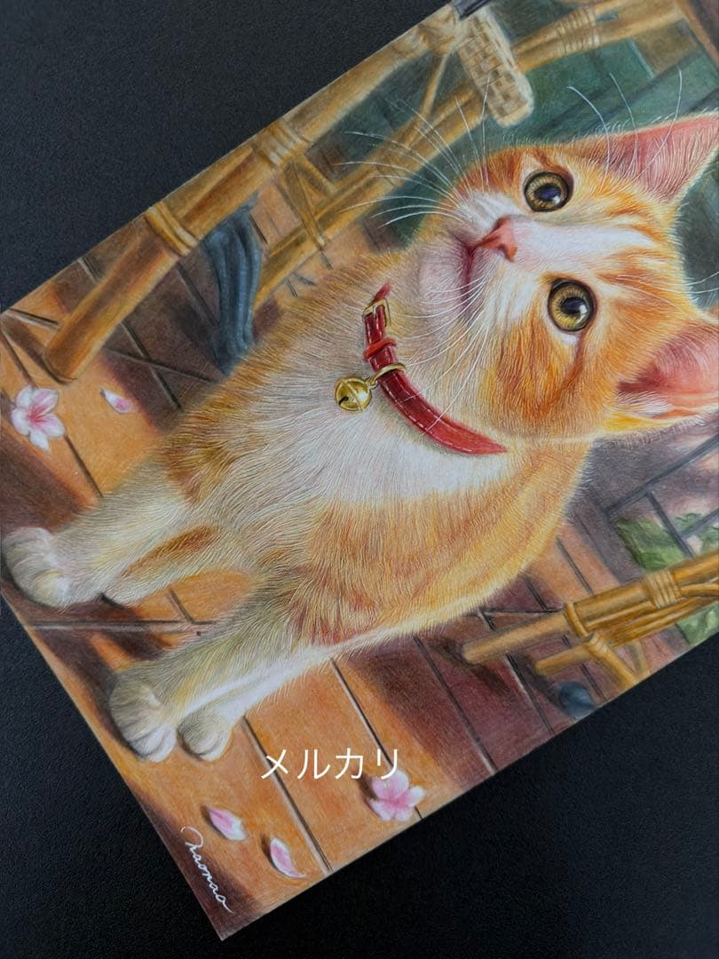 色鉛筆画A4 春をみつけた仔猫