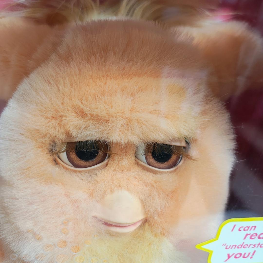 ファービー2　トロピカルマンゴー　オレンジ目　英語版　furby2 #3