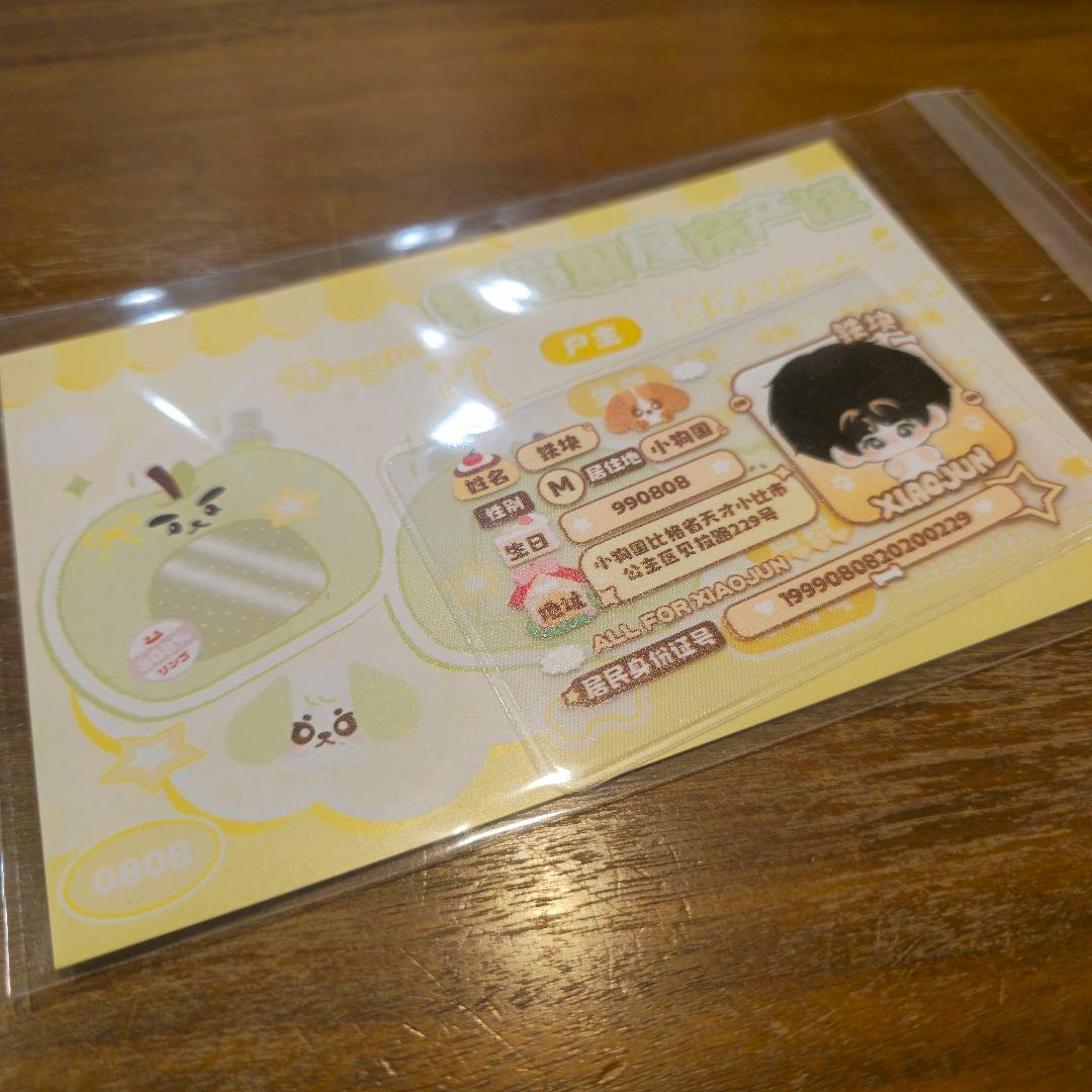 シャオジュン ぬいぐるみ トレカケース ポーチ WayV 威神V NCT