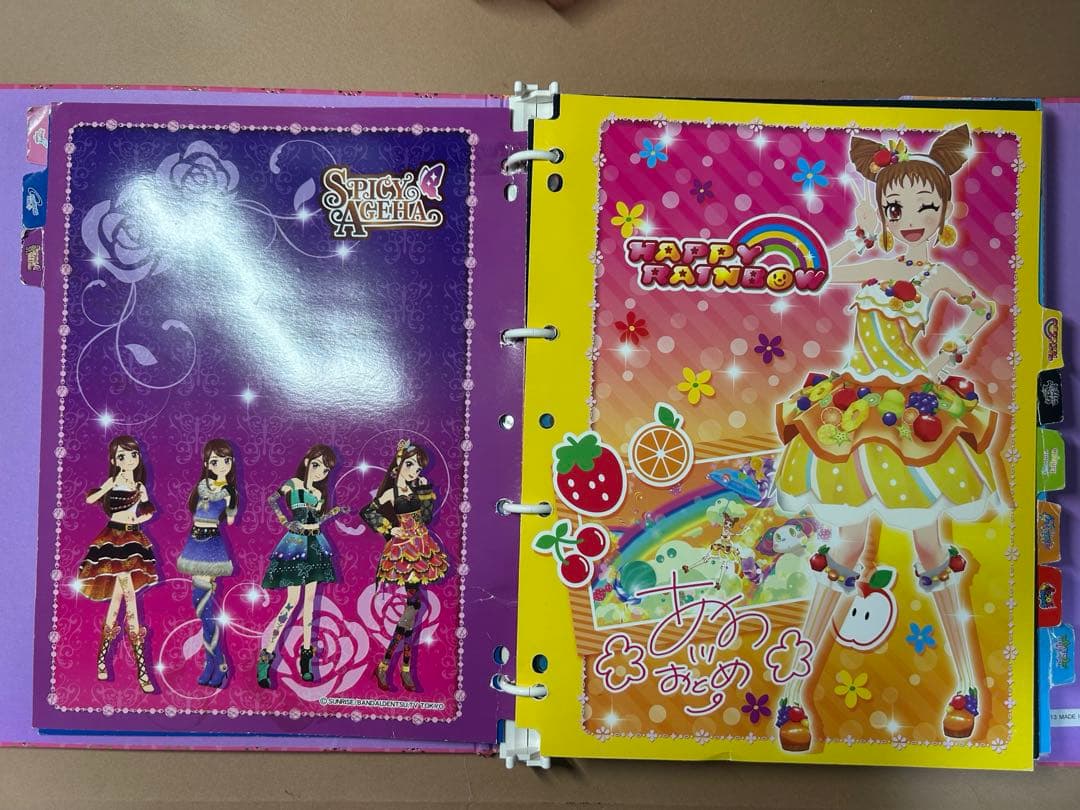 アイカツ 9ポケットバインダー＆カード49枚
