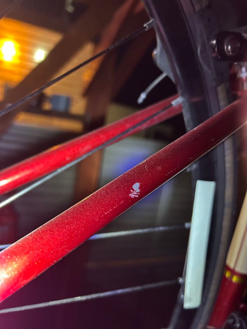 自転車本体 CANOVER ORPHEUS CAR-013