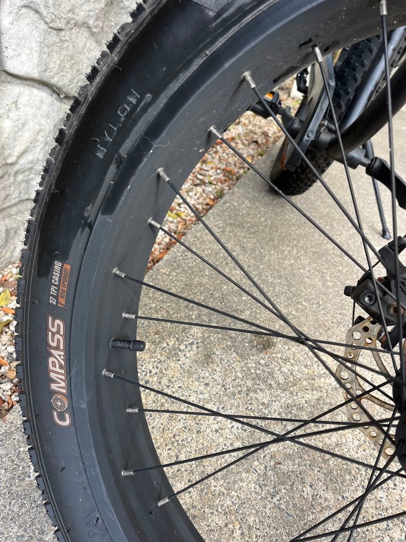 【引き取り限定】TXED ファットバイク ビーチクルーザー BMX 自転車