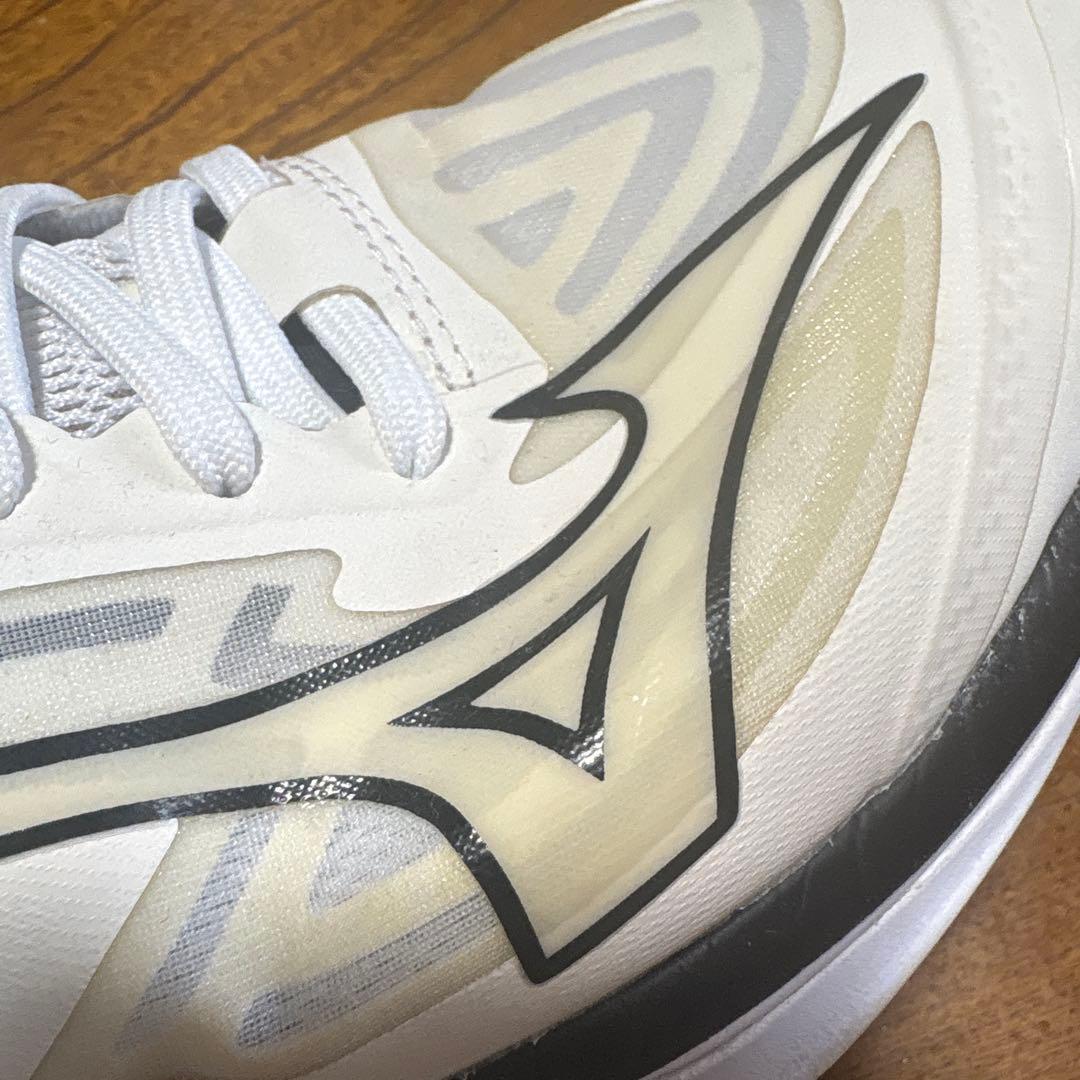 MIZUNO バレーボールシューズ 25.0cm