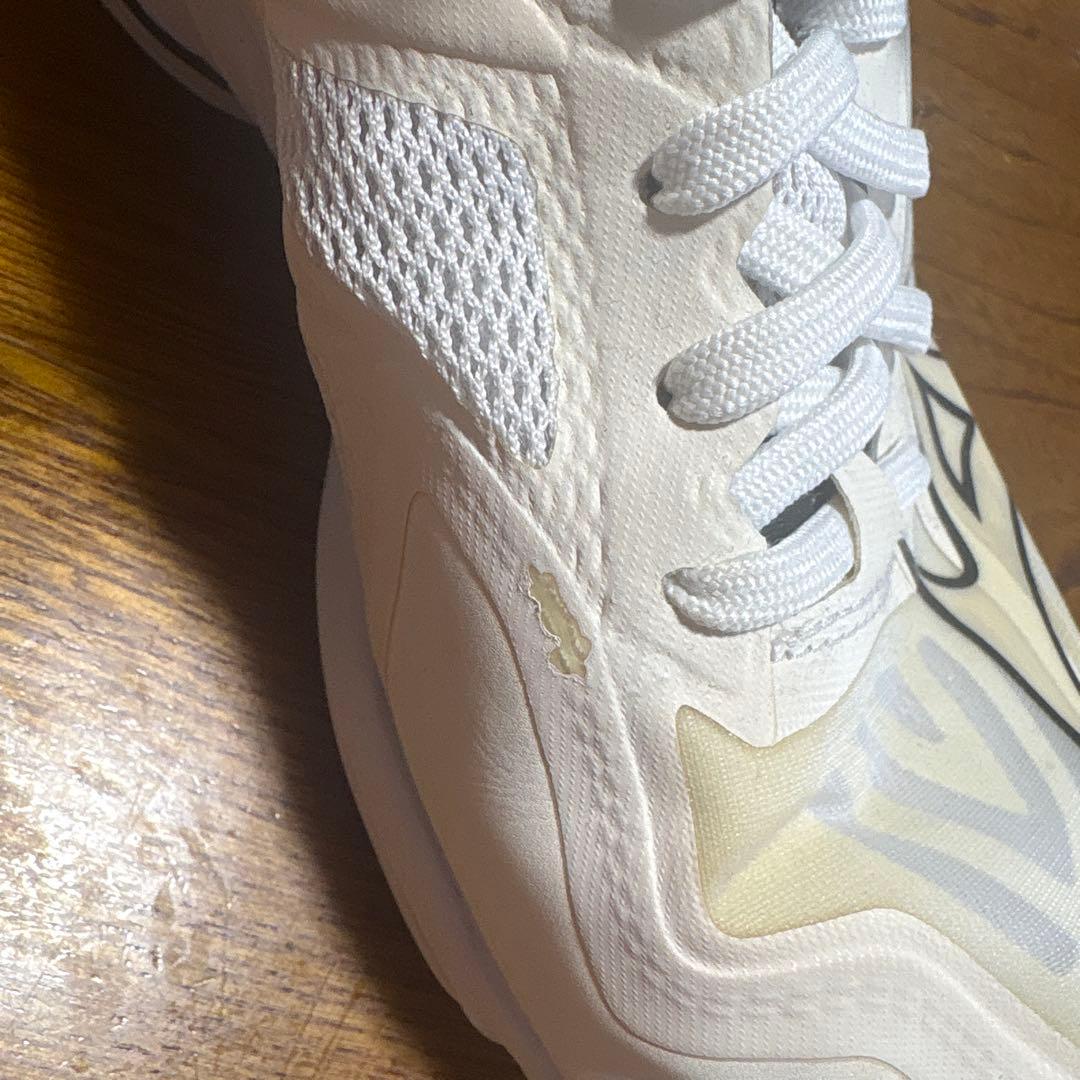 MIZUNO バレーボールシューズ 25.0cm