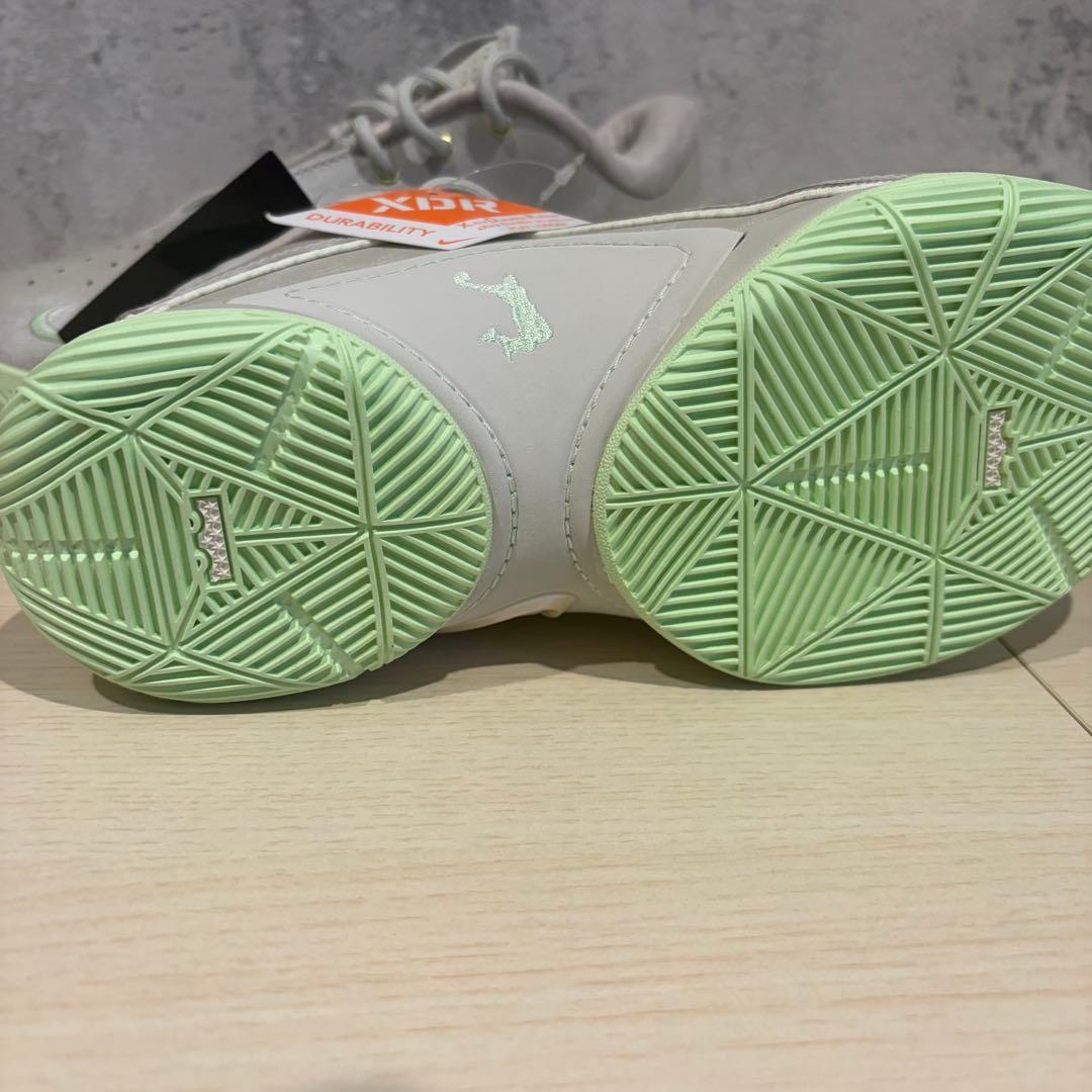 定価26,950円　新品未使用　NIKE ナイキ レブロン 22 EP