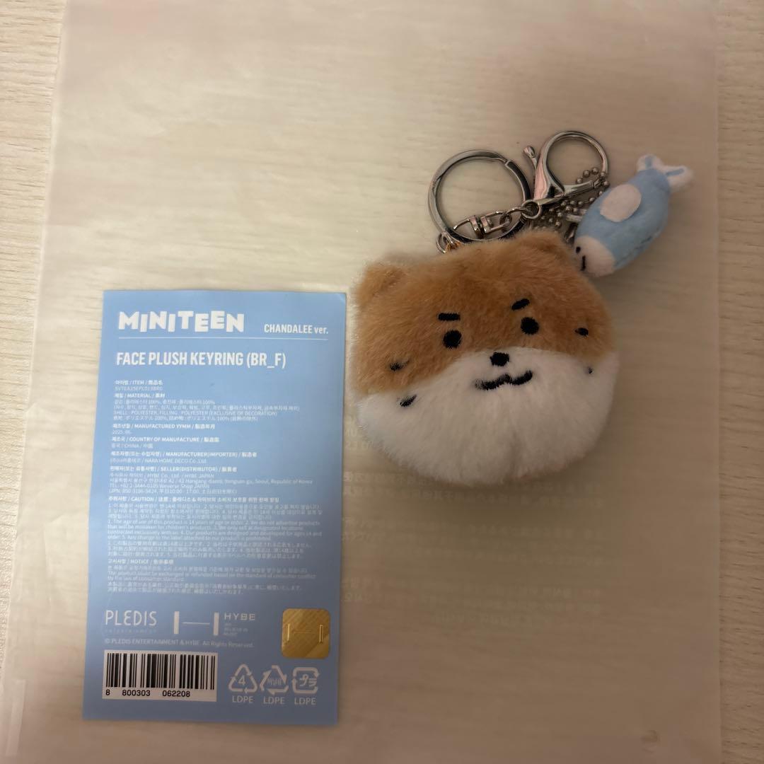SEVENTEEN MINITEEN チャンダリ ポーチ フェイスキーリング