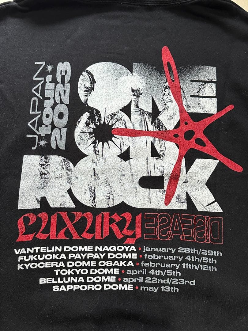【新品】ONEOKROCK ワンオク LUXURY DISEASE パーカー L