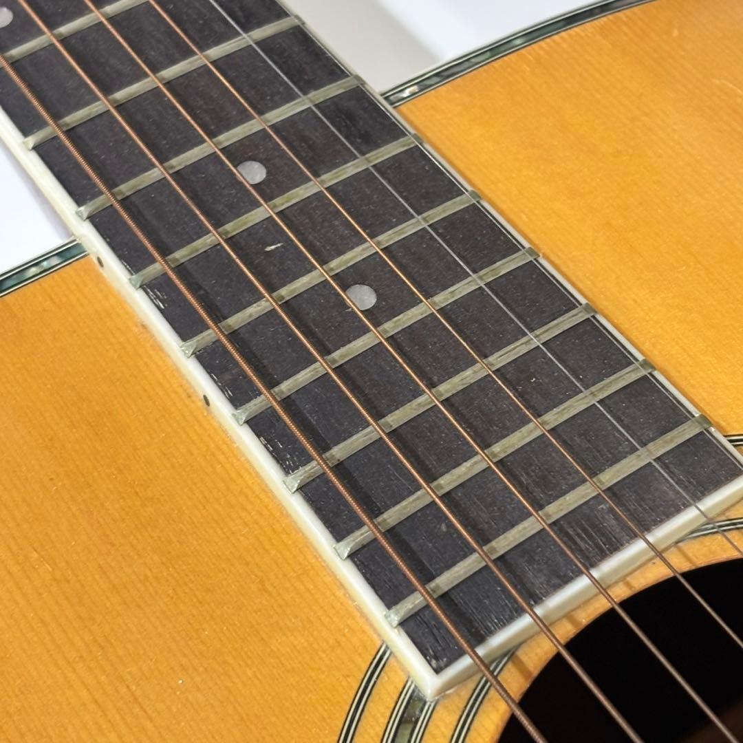 Morris モーリス アコースティックギター W-35 ケース付き D219
