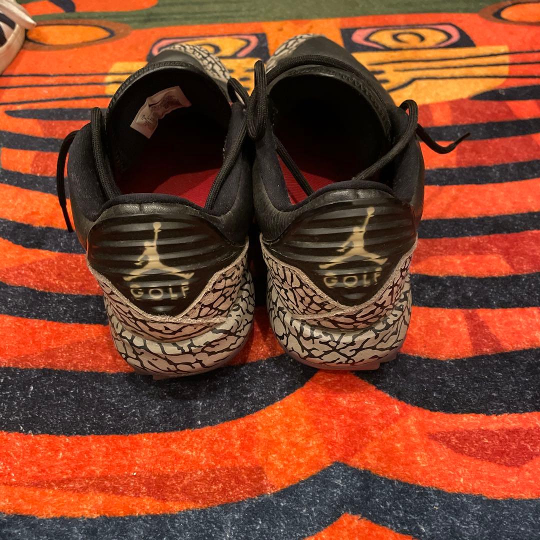 NIKE ADG Jordan ゴルフシューズ　25.0