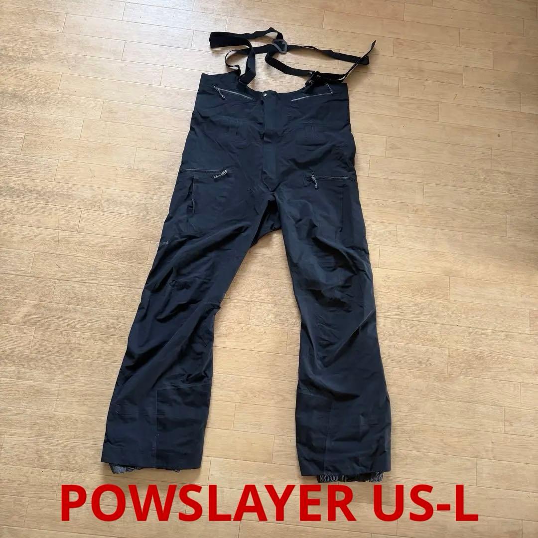 必見 Patagonia ハイエンドビブ POWSLAYER BIBS US-L