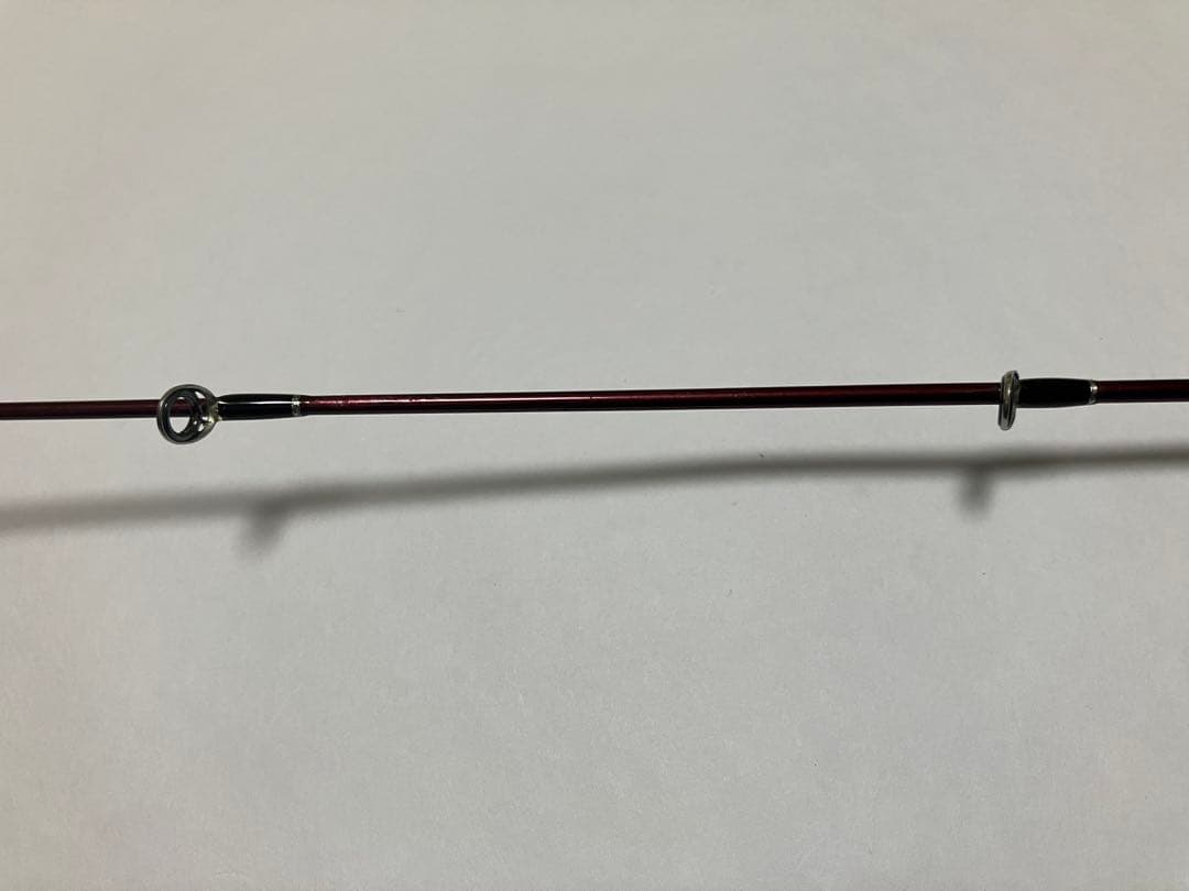 フィッシュマン ビームス ローワー 7.3L
