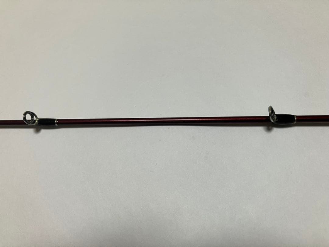 フィッシュマン ビームス ローワー 7.3L
