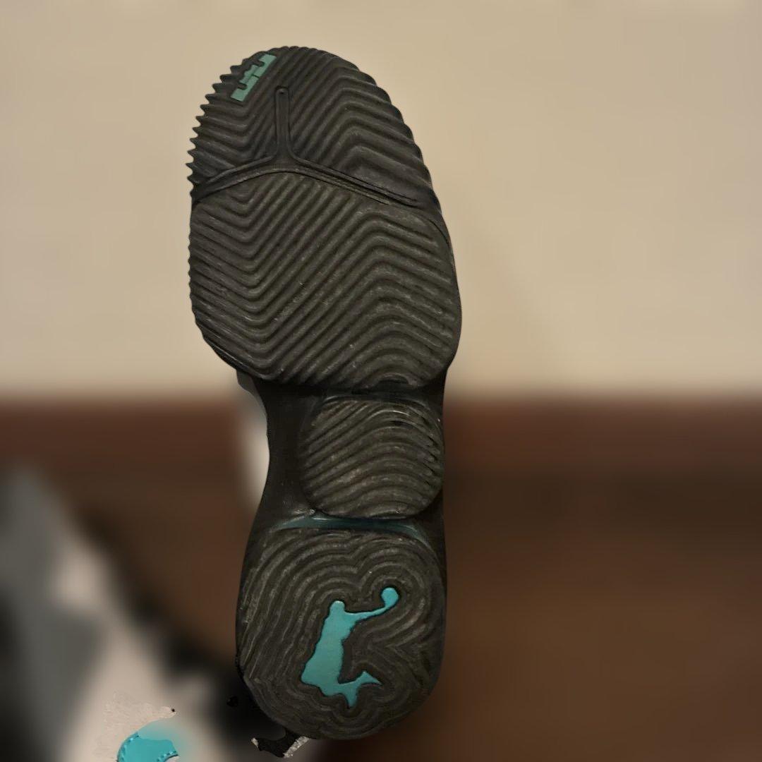 Nike lebron atmos ナイキ レブロン アトモス 27.5