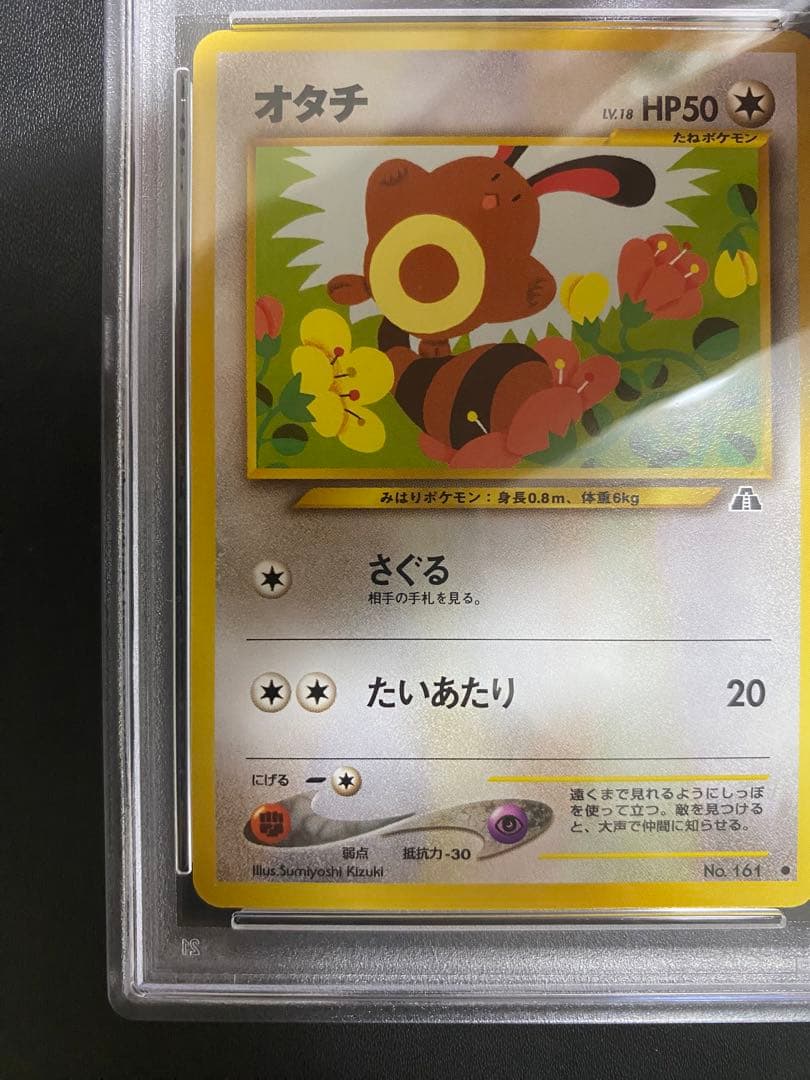 オタチ 旧裏　psa10 ポケモンカード　世界で48枚