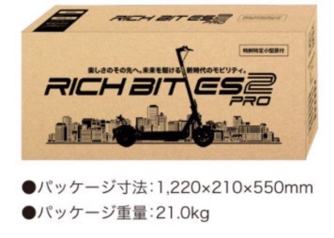 ⭐︎専用⭐︎【新品未開封】RICH BIT ES2 Pro