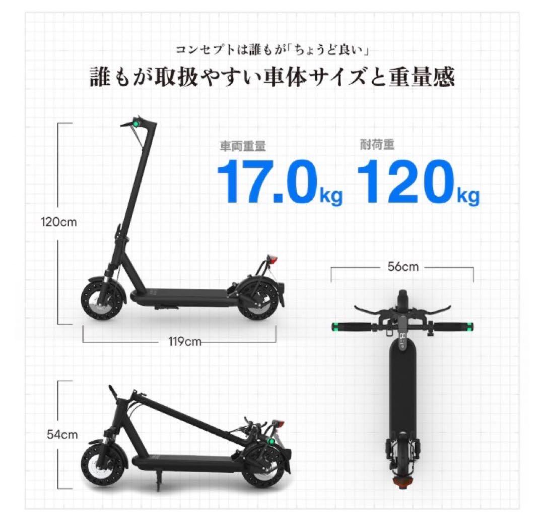 ⭐︎専用⭐︎【新品未開封】RICH BIT ES2 Pro