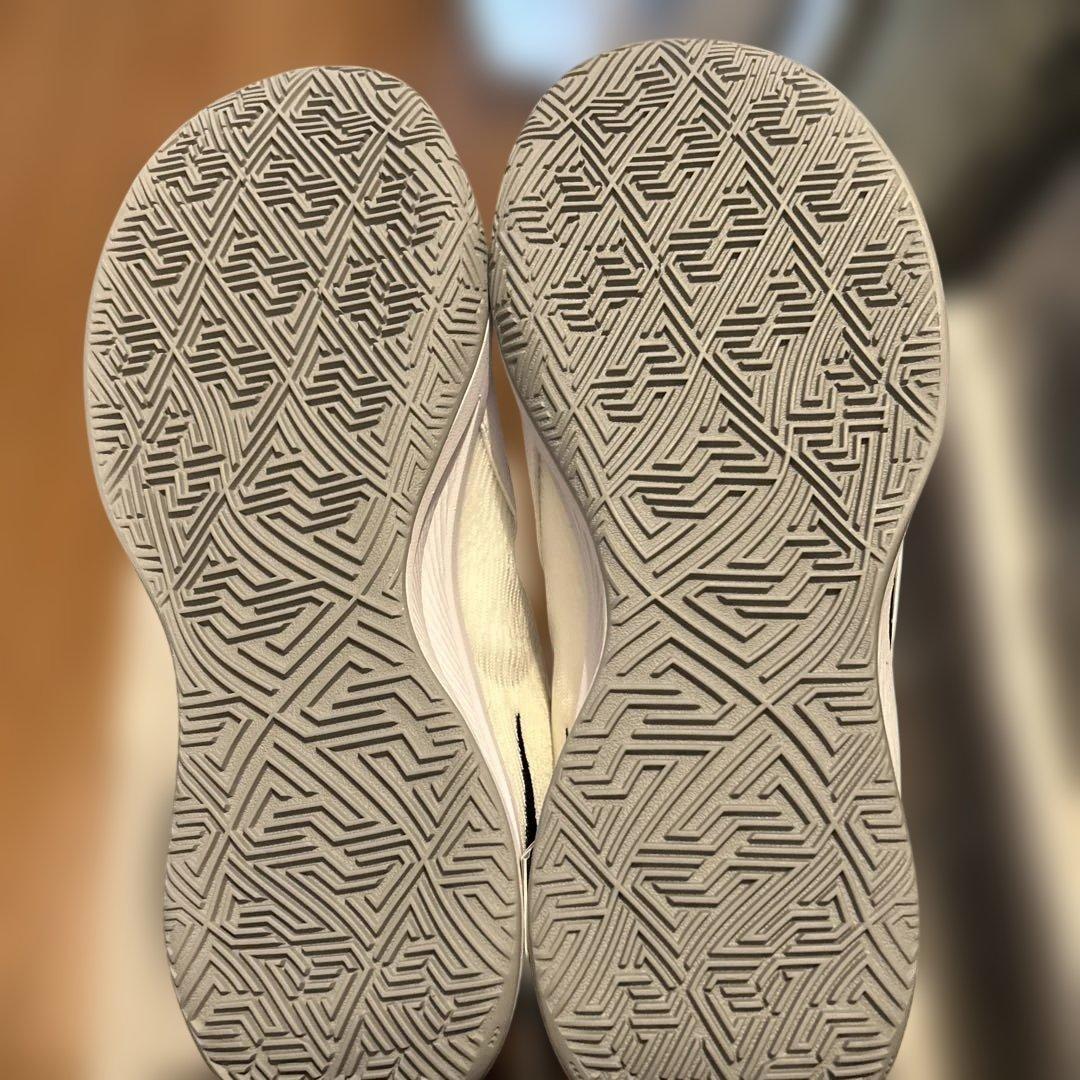 シューズ(男性用) NIKE zoom freak6