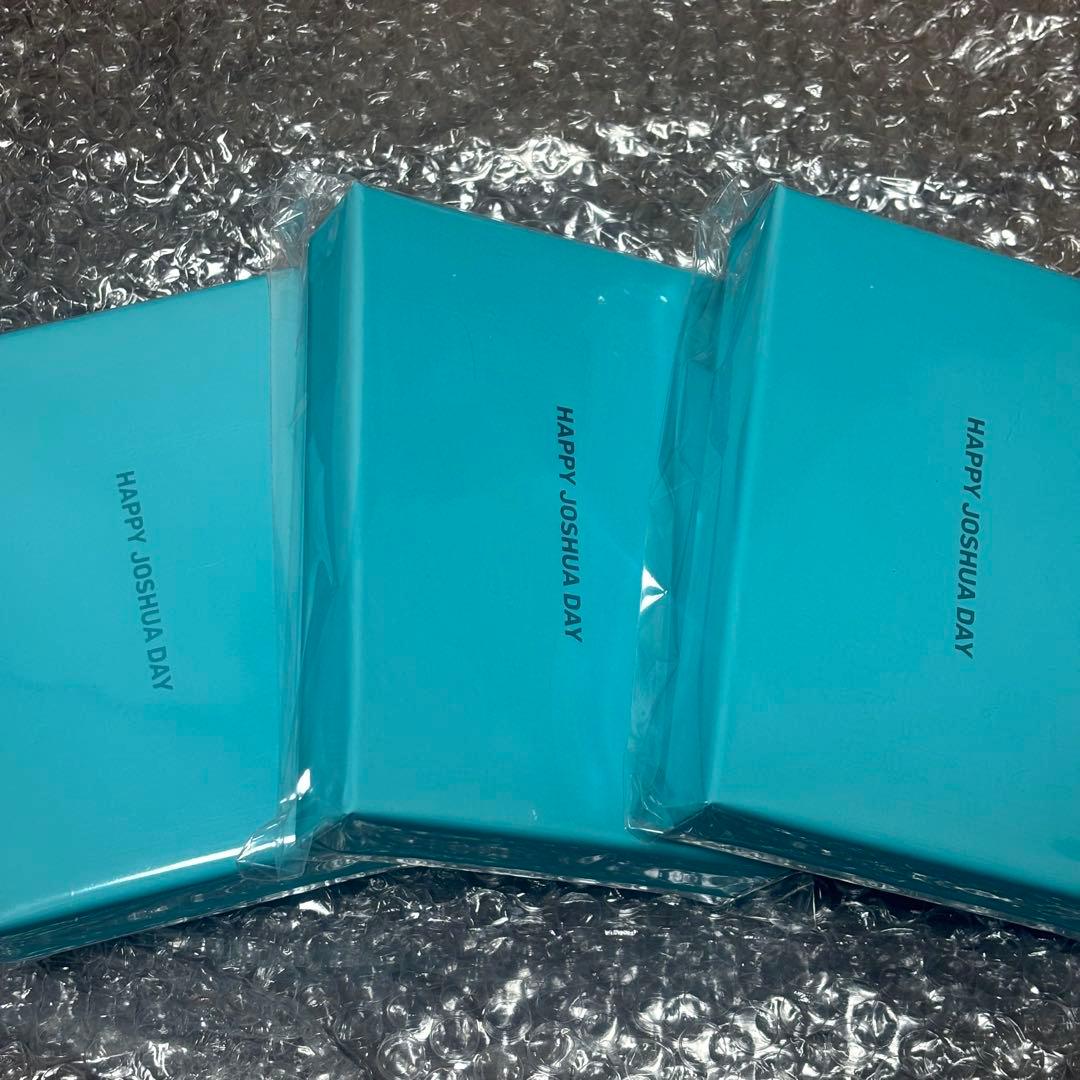 限定値下げ セブチ ジョシュア POCKET ORGANIZER バパケ