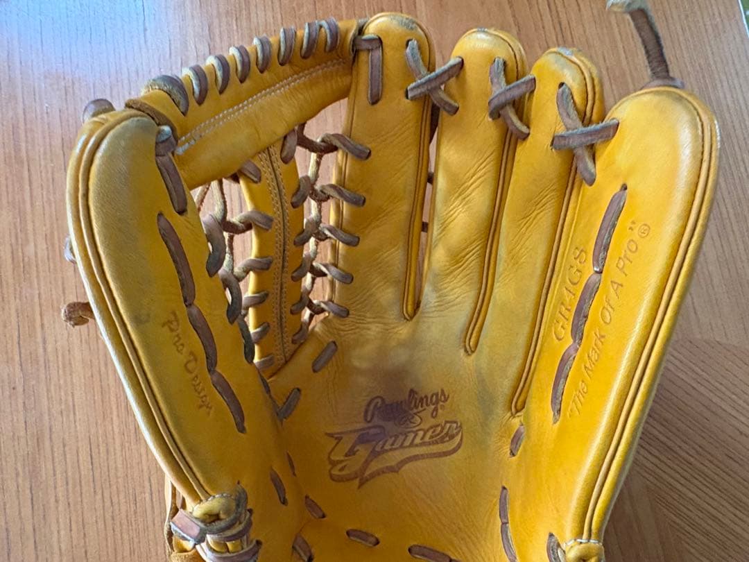 Rawlings Dual Palm Tech 硬式グローブ