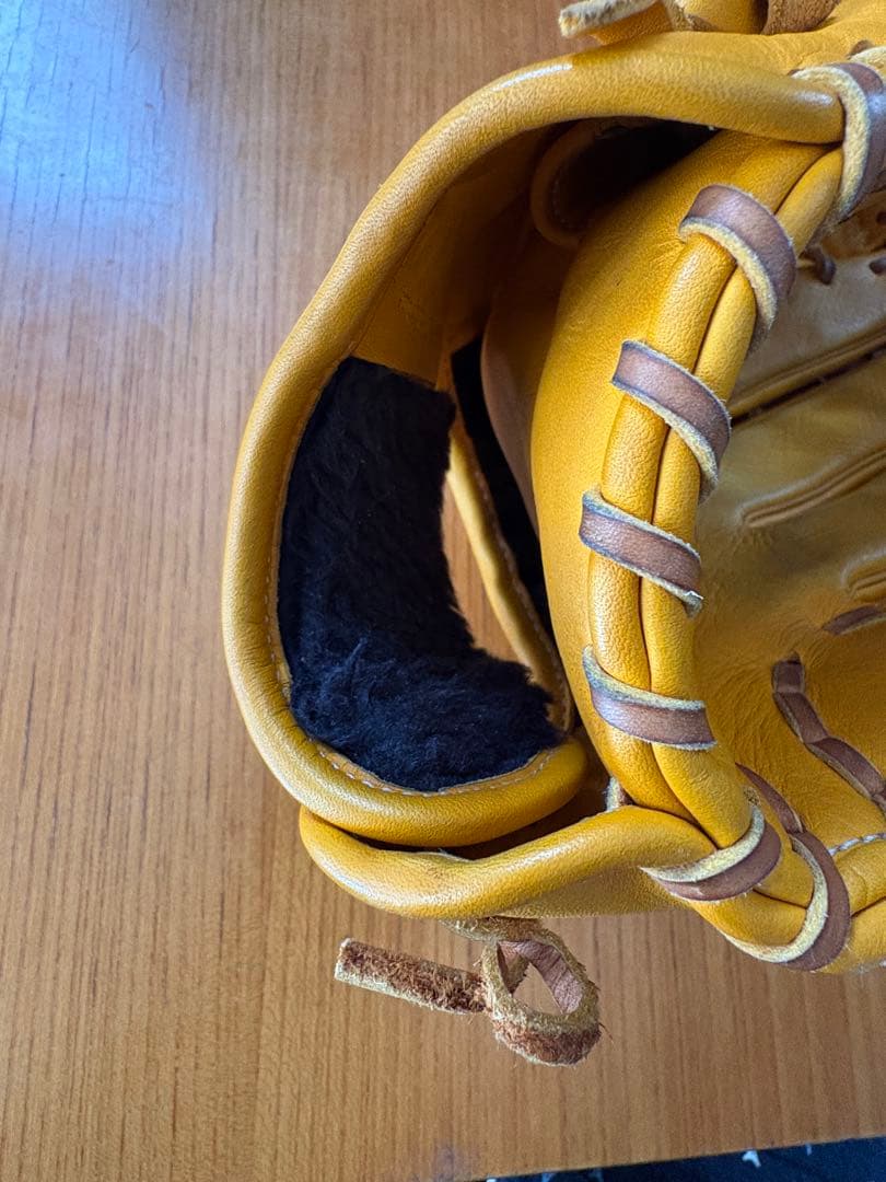 Rawlings Dual Palm Tech 硬式グローブ