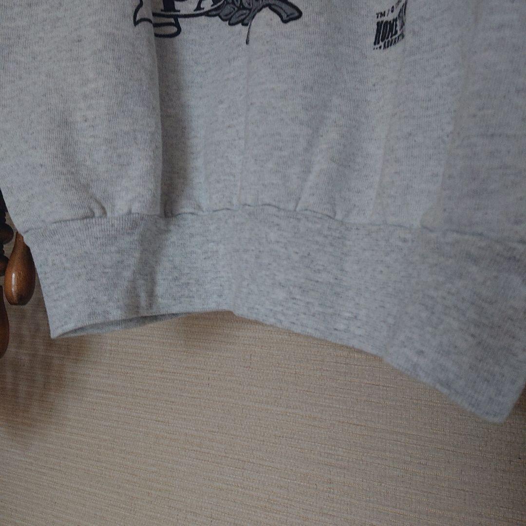 CAROLINA PANTHERS スウェットシャツ 1993年製USA製品