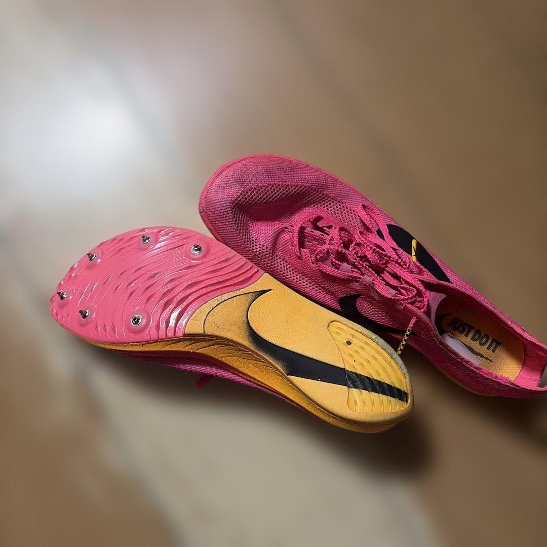 NIKEドラゴンフライ1 28.0cm