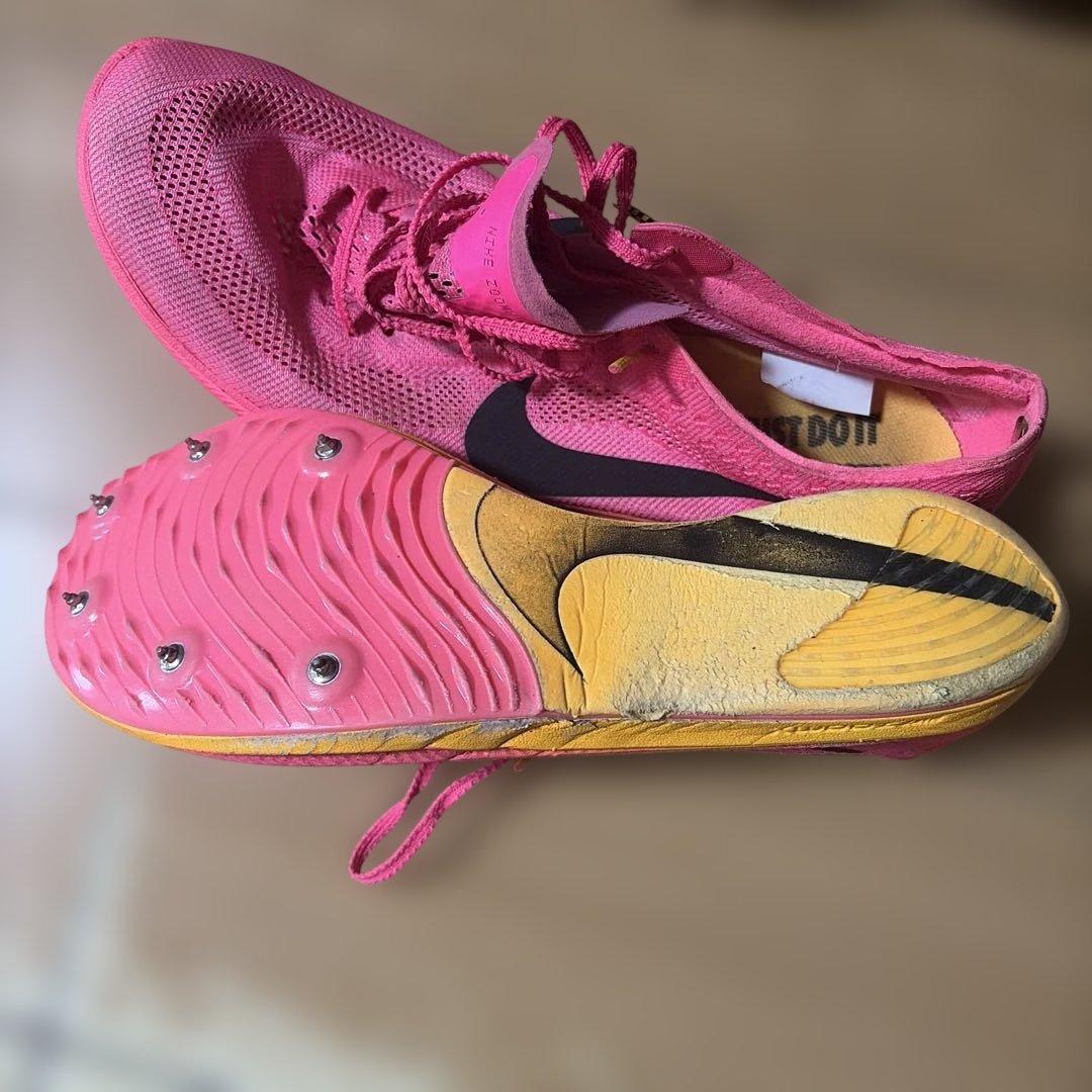 NIKEドラゴンフライ1 28.0cm
