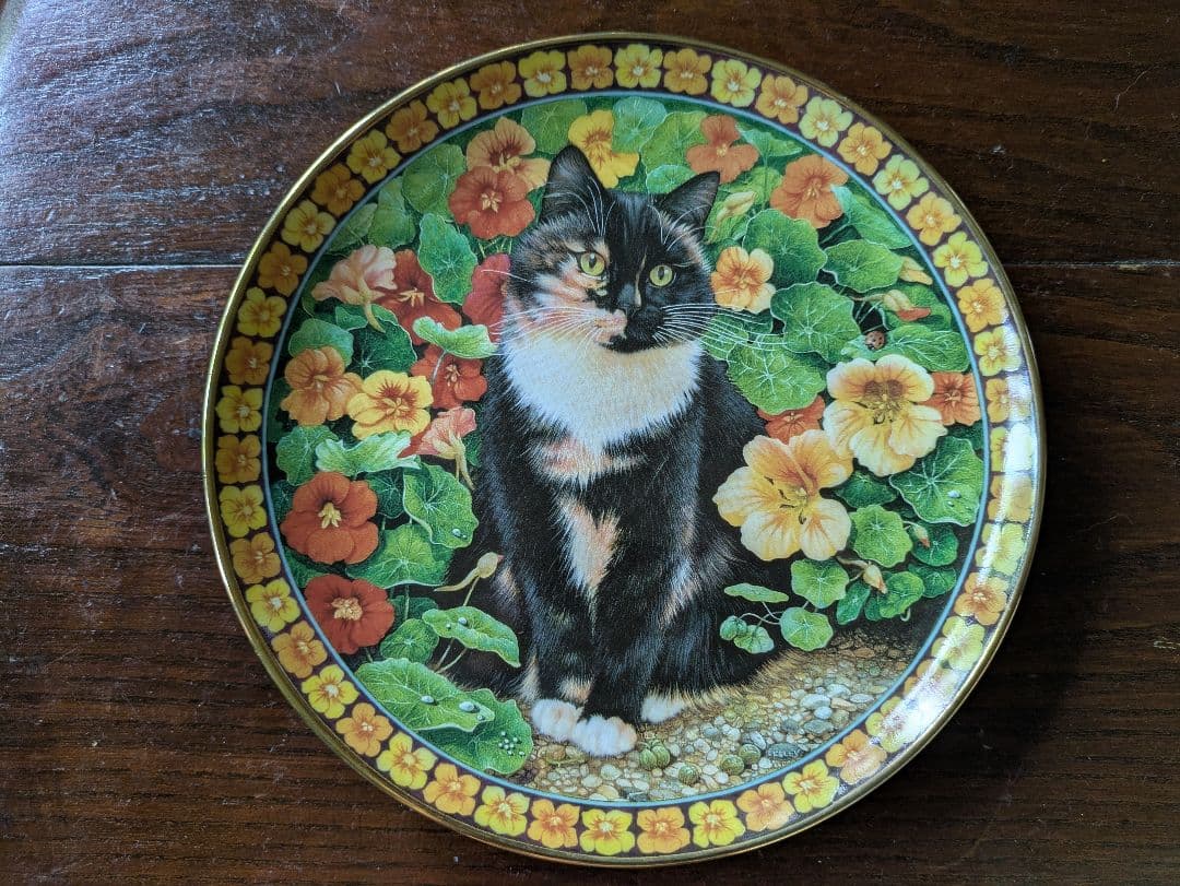 RR　2枚セット世界一美しい猫 　ナスタチューム＆ クリスマローズ